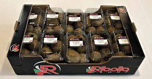 kiwi
