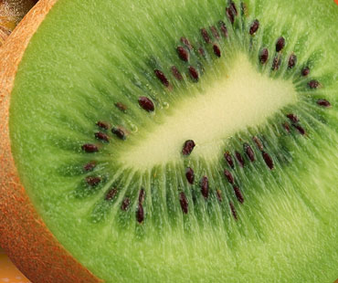 Kiwi
