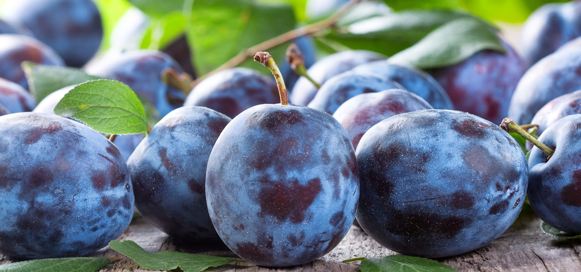 piante da frutta