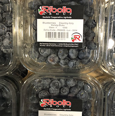 Confezionamento frutta