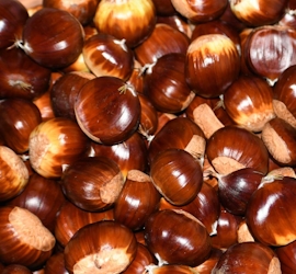 Castagne Ribotta