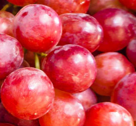 Uva Ribotta